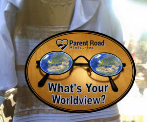 worldview the dress